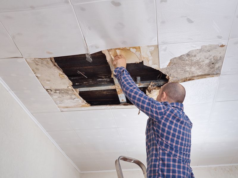 Ceiling Repair Service in Conroe, TX