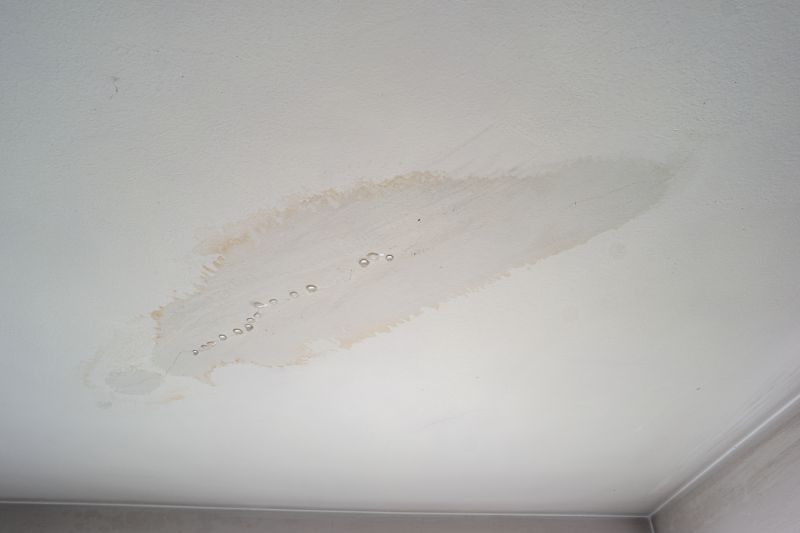 Water Damage Repair
